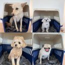 놀러오개 불로점 이미지