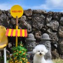 어썸스테이 이미지