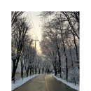 드리밍하우스 이미지