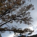 거대부동산공인중개사사무소 이미지