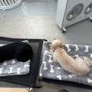 달콤체육관 이미지