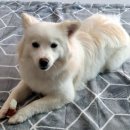 상록마을라이프아파트 이미지