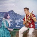 Elvis Presley / Help Falling In Love 이미지