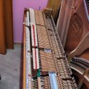 샬롬음악학원 이미지