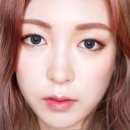 체스(CHES) 이미지