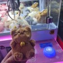 상봉오락실 이미지