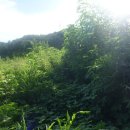 안터산(92m)삼봉산(196m) 안산(168m) 상진봉(206m) 화학산(201m) 신사동산(98m) 뒷동산(136m)/경기용인 이미지