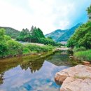 The 하루만펜션 이미지