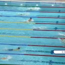 FINA/MASTBANK swimming world cup 쇼트 코스 남자 평영 200m 세계신기록 이미지