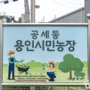 공세농장 이미지