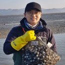 망포쌍용2차(아) | 망포역맛집 추천 수원 망포동 해물칼국수 맛집 &#34;조개조개칼국수 망포점&#34; 솔직 후기