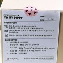 투마이퍼피 이미지