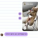 어신2리섯밭경로당 | 그렇게 사랑은 내 하늘 바다 되어