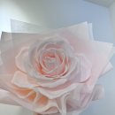 대구 동성로 시내 무인꽃집, 에브리데이플라워 Everyday Flower