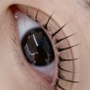 그로우속눈썹 이미지