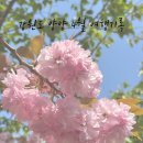 양양향교 | 26개월 아기랑 강원도 양양 여행 일정 공유(맛집, 숙소, 가볼 만한 곳)