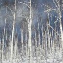 권율대로 이미지