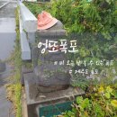 엉또폭포 | 제주도 비 오는 날 볼 수 있는 관광지 엉또폭포 관람 후기 및 실시간 CCTV 확인하는 방법
