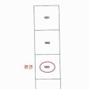 하단동203 이미지