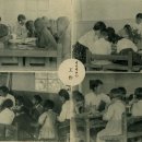 대자유치원 이미지