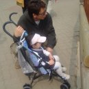 인천가축원 이미지