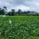 도시농업관리사반 이미지