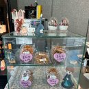 커피바리스타B | [광교중앙역 | 카페] 국가대표 바리스타 커피 맛집 ‘커피나인’ 라떼 후기