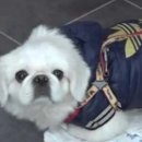 선동 공중화장실 이미지