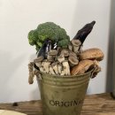 컨포지움 이미지