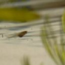 민물나라 이미지