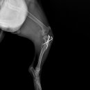 진천동물병원 이미지