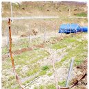 오번리 농장 이미지