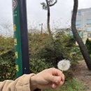 오복 | 마곡동맛집: 마곡회식으로 딱! '오복회관 마곡본점' 후기