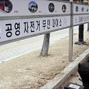 시민자전거대여소(화성행궁) 이미지