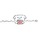 말랑한하루 이미지