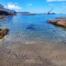 더드림 하우스 펜션 이미지