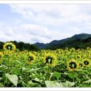 위봉산성마을 이미지