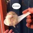 한우축산 식당 이미지
