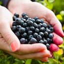 기초스마트폰교실(오전) 이미지