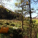 혁신도시 진입로 이미지