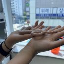 파충류 체험 가능한 파블박사 :: 도마뱀, 뱀 공포증 극복 후기