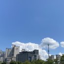 더블유 오토라운지 | 2021.8