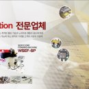 더블유티엠