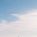 W 헬스(218) | 스페인 여행 3일차 - 바르셀로나 - 구엘 공원, 람블라스 거리, 바르셀로나 대성당, 카탈루냐 음악당...