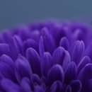 S당구클럽 이미지