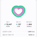 우럼마김밥 | 251205