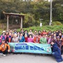 과림