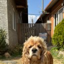 풀과꽃이야기 이미지