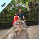 [발리] 우붓 몽키포레스트 후기｜입장료, 원숭이 주의사항