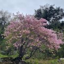 백장암 청동 은입사향로 | 지리산7암자 돌기